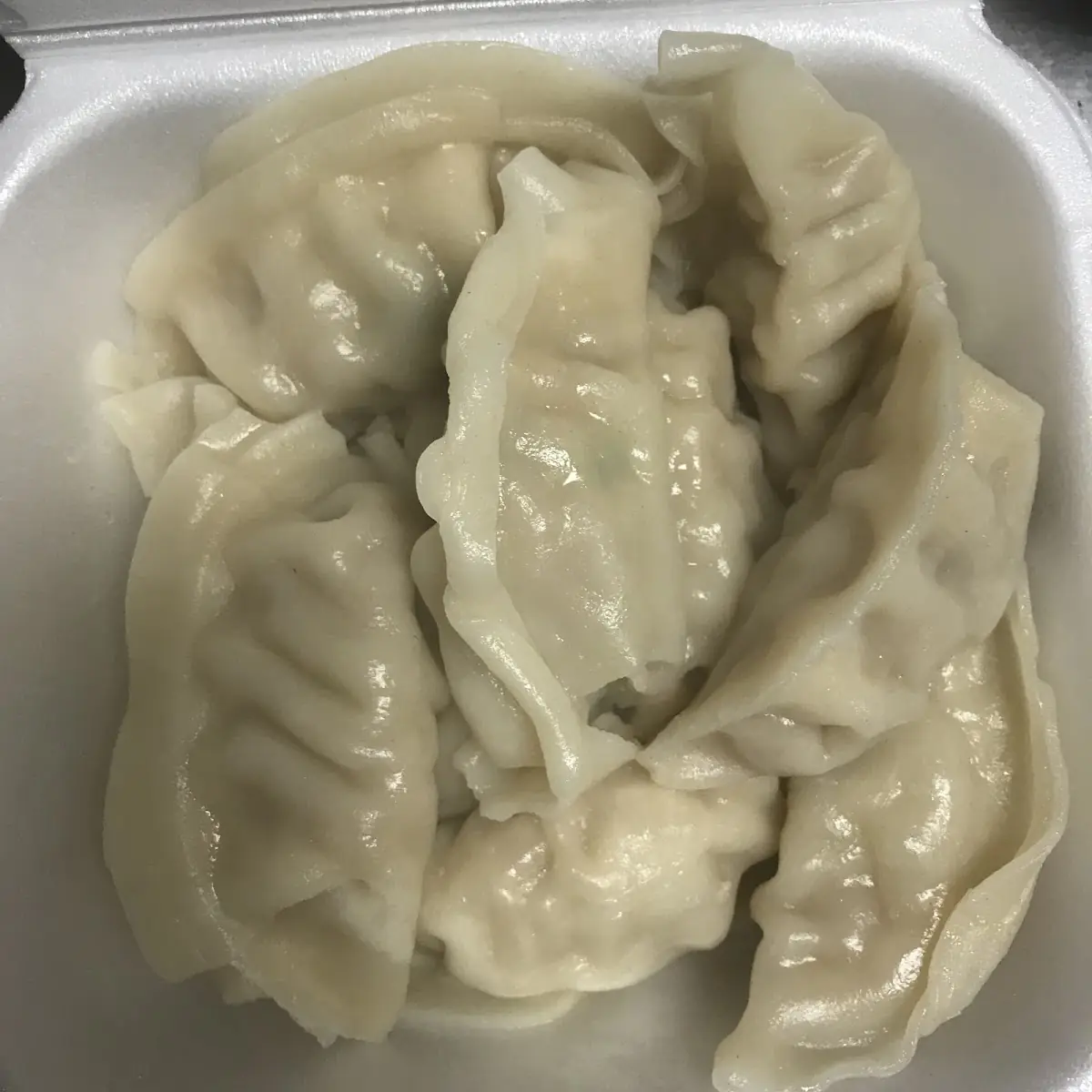 Steamed Dumplings 水饺 10